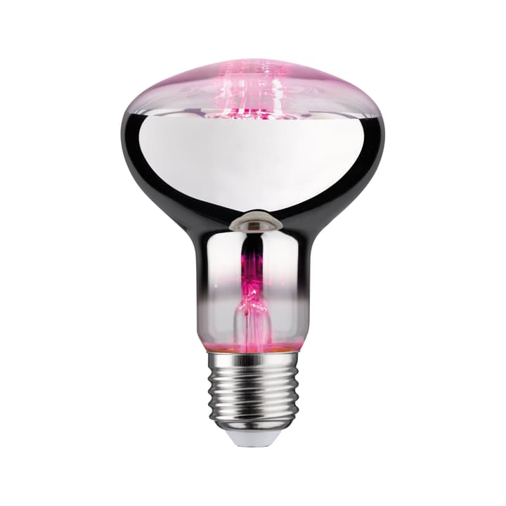 Image of Paulmann Grow Green R80 Pflanzenlampe bei Do it + Garden von Migros