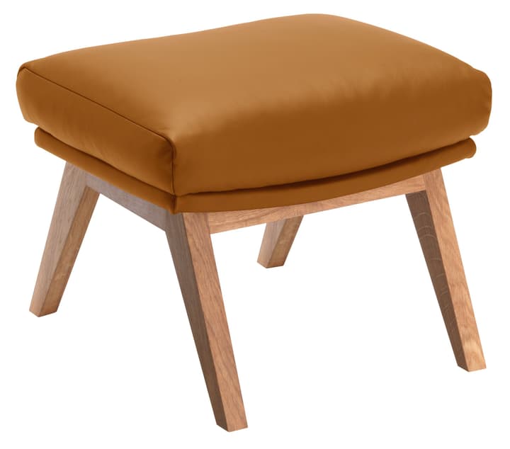 ANDRES Repose-pieds ANDRES Repose-pieds 402444508055 Dimensions L: 51.0 cm x P: 40.0 cm x H: 41.0 cm Couleur Cognac Photo no. 1