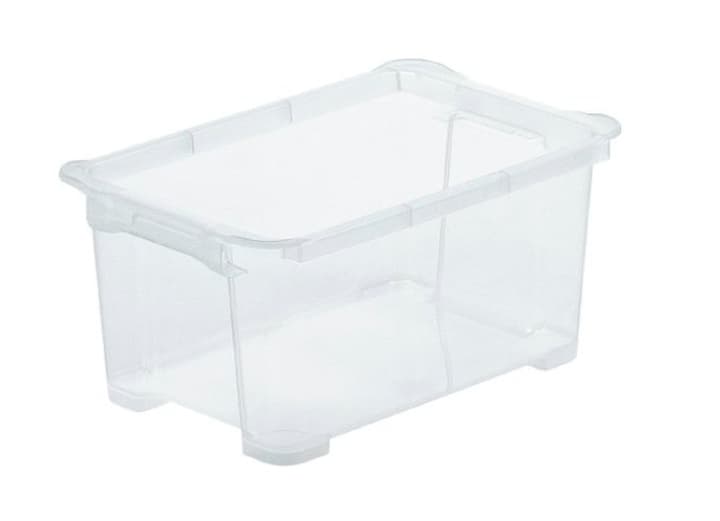 Image of Rotho Evo Easy Box 4l Aufbewahrungsbox bei Do it + Garden von Migros