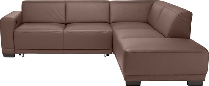 KRÜGER Ecksofa KRÜGER Ecksofa 405722300000 Grösse B: 266.0 cm x T: 220.0 cm x H: 77.0 cm Farbe Mittelbraun Bild Nr. 1
