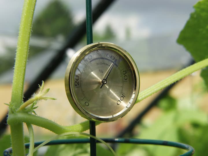 Image of VITAVIA Hygrometer Gewächshaus bei Do it + Garden von Migros