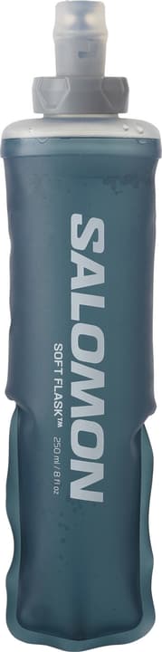 Salomon Softflask 250ml