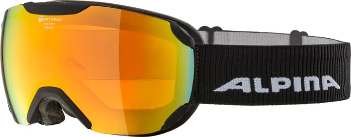 Image of Alpina Pheos S Q Skibrille / Snowboardbrille schwarz