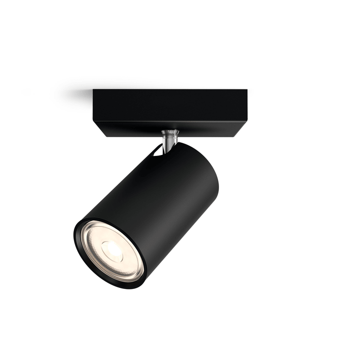 Image of Philips Spot Kosipo 1-er Spotlampe bei Do it + Garden von Migros