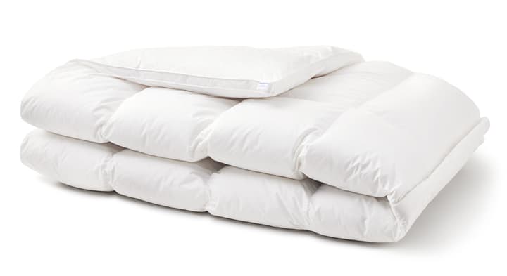LUXURYDAUN warm Couette très chaude, avec piquage à cassettes en duvet d'oie LUXURYDAUN warm Couette très chaude, avec piquage à cassettes en duvet d'oie 451755012510 Couleur Blanc Dimensions L: 200.0 cm x P: 210.0 cm Photo no. 1