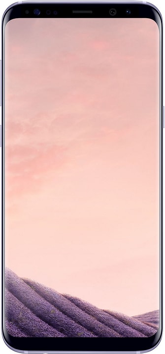 Samsung Galaxy S8+ grau Galaxy S8+ grau Samsung 794617100000 Bild Nr. 1