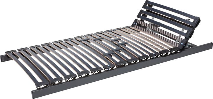 Einlegerahmen ELAN FLEX II Standard