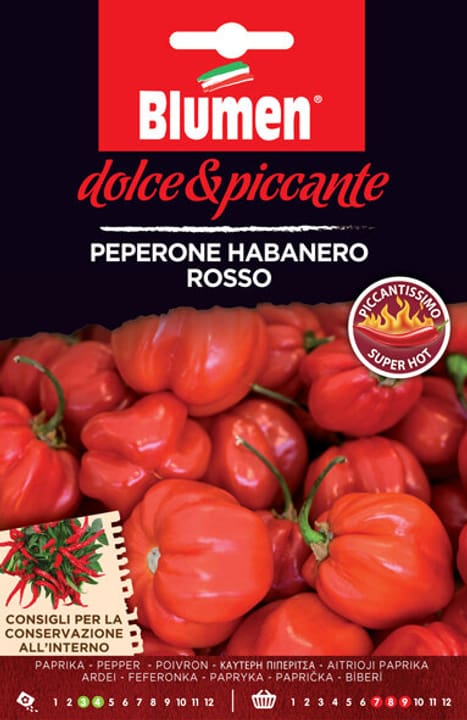 Blumen Pepe habanero rosso