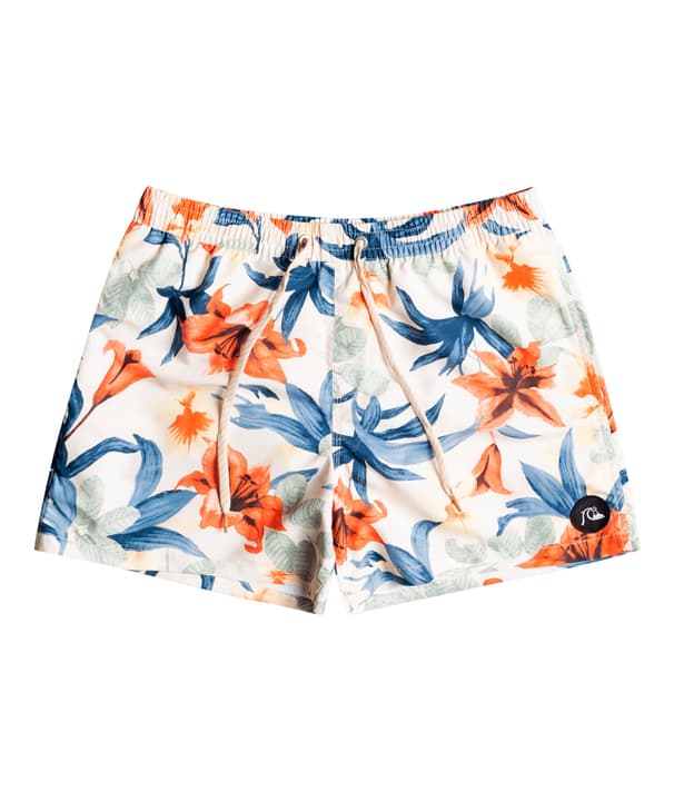 Image of Quiksilver Everyday Garden Path Volley 15 Badeshorts mehrfarbig bei Migros SportXX