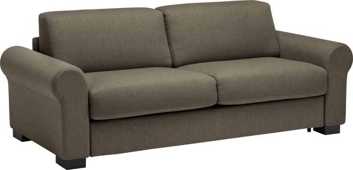 OPUS Bettsofa OPUS Bettsofa 402933200000 Farbe Grün Grösse B: 222.0 cm x T: 204.0 cm x H: 82.0 cm Bild Nr. 1