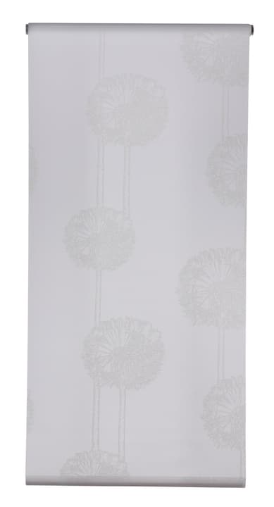 FROST Rollo FROST Rollo 430742904210 Farbe Weiss Grösse B: 42.0 cm x H: 130.0 cm Bild Nr. 1
