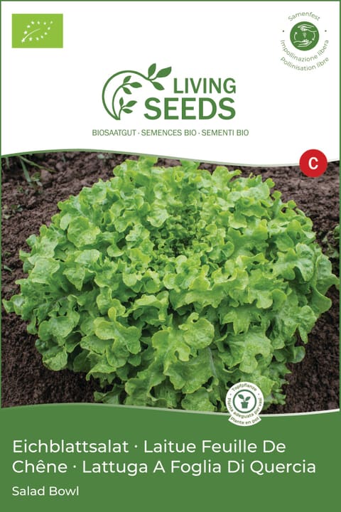 Image of Living Seeds Pflücksalat Salad Bowl Gemüsesamen