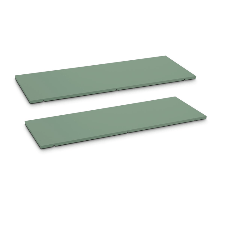 Edition Interio SEVEN Ripiano set da 2 90cm SEVEN Ripiano set da 2 90cm Edition Interio 362019850005 Dimensioni L: 90.0 cm x P: 1.4 cm x A: 35.5 cm Colore Verde N. figura 1