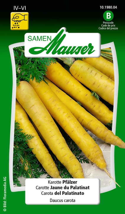 Image of Samen Mauser Karotte Pfälzer Gemüsesamen