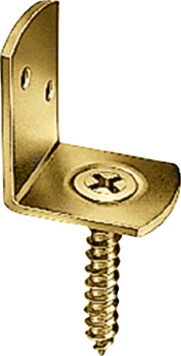 Image of Flechtzaunwinkel Flechtzaun-Winkel bei Do it + Garden von Migros