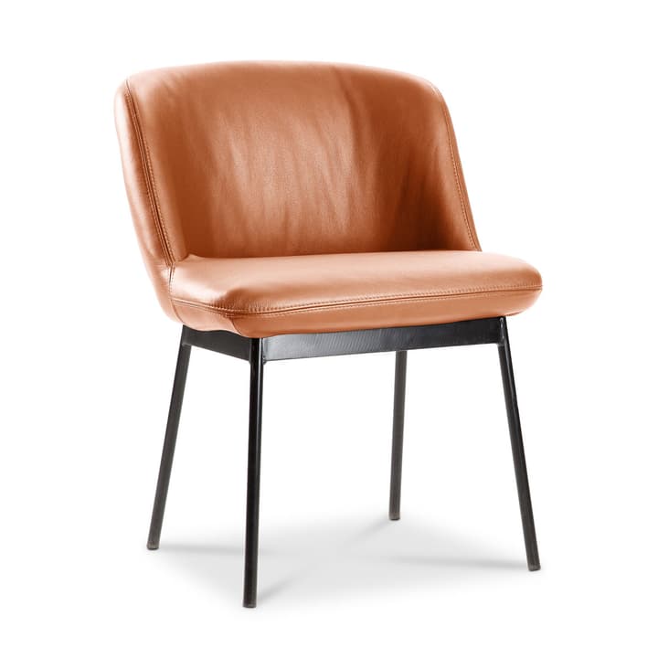 UNICO Stuhl UNICO Stuhl 366023477601 Grösse B: 55.0 cm x T: 58.0 cm x H: 74.0 cm Farbe Cognac Bild Nr. 1