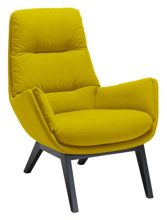 ANDRES Fauteuil ANDRES Fauteuil 402441207049 Dimensions L: 83.0 cm x P: 87.0 cm x H: 96.0 cm Couleur limette Photo no. 1