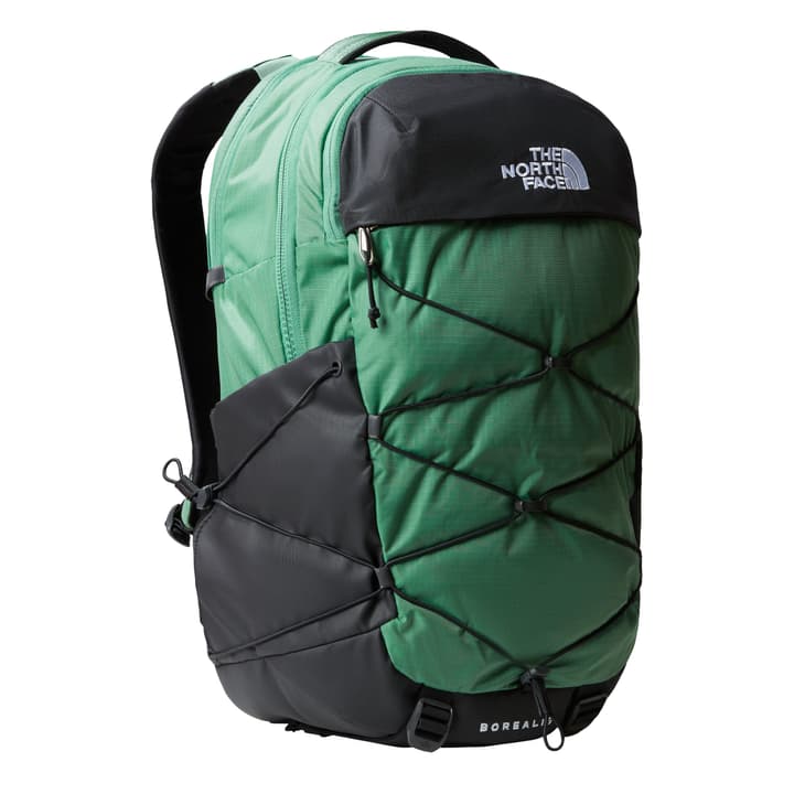 Image of The North Face Borealis Daypack grün