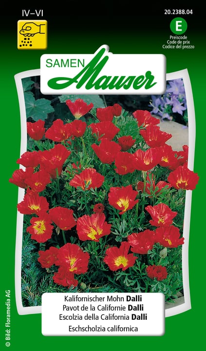 Image of Samen Mauser Kalifornischer Mohn Dalli Blumensamen bei Do it + Garden von Migros