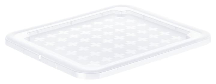 Image of Rotho Reverso Deckel zu Dreh- und Stapelbox 26l, Kunststoff (PP) BPA-frei, transparent