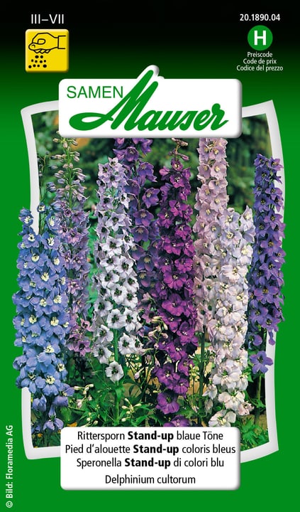 Image of Samen Mauser Rittersporn Stand-up blaue Töne Blumensamen