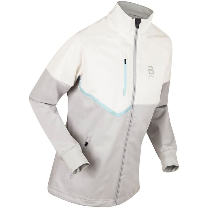 Image of Daehlie W Jacket Kikut Langlaufjacke grau