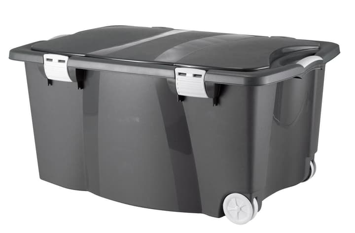 SE-ALLZWECKBOX MIT ROLLEN SE-ALLZWECKBOX MIT ROLLEN 60336730000008 Bild Nr. 1
