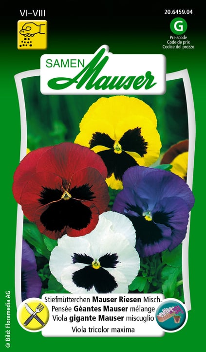 Image of Samen Mauser Stiefmütterchen Riesen Misch. Blumensamen