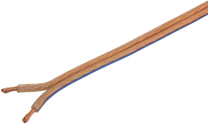Do it + Garden Câble plat pour haut-parleur H03VH-H2x4.0 Câble plat pour haut-parleur H03VH-H2x4.0 Do it + Garden 613134600000 Photo no. 1