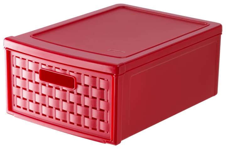 Rotho Schubladenbox klein COUNTRY Schubladenbox - kaufen bei Do it + Garden