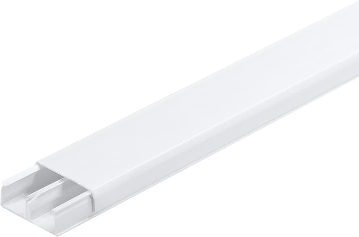 Image of Steffen 40 x 17 mm, 2 m Kabelkanal bei Do it + Garden von Migros