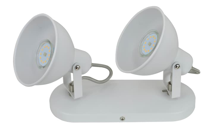 GIAGOMO Spot su barra 2l. GIAGOMO Spot su barra 2l. 42140660000016 No. figura 1