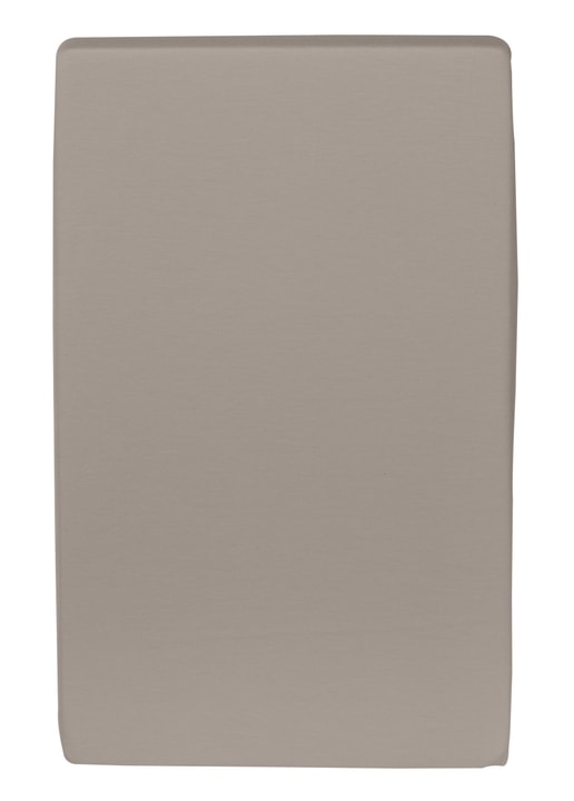 CARLOS Drap-housse en jersey CARLOS Drap-housse en jersey 451033230369 Couleur Taupe Dimensions L: 90.0 cm x H: 200.0 cm Photo no. 1