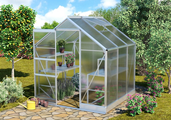 Image of VITAVIA Apollo 3800 Gewächshaus bei Do it + Garden von Migros