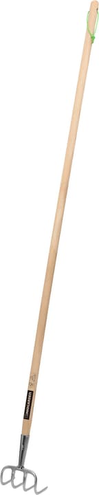 Image of Miogarden Premium 13 cm Kräuel