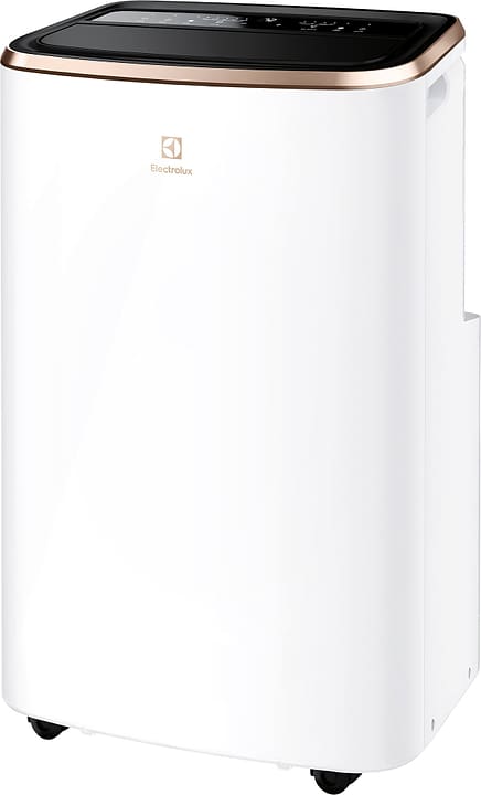 Electrolux Climatiseur Chill Flex Pro Gold Climatiseur Chill Flex Pro Gold Electrolux 614233000000 Photo no. 1