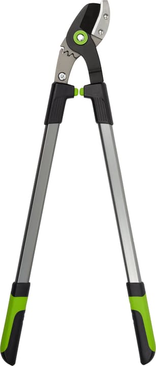 Image of Miogarden Premium Amboss- Astschere