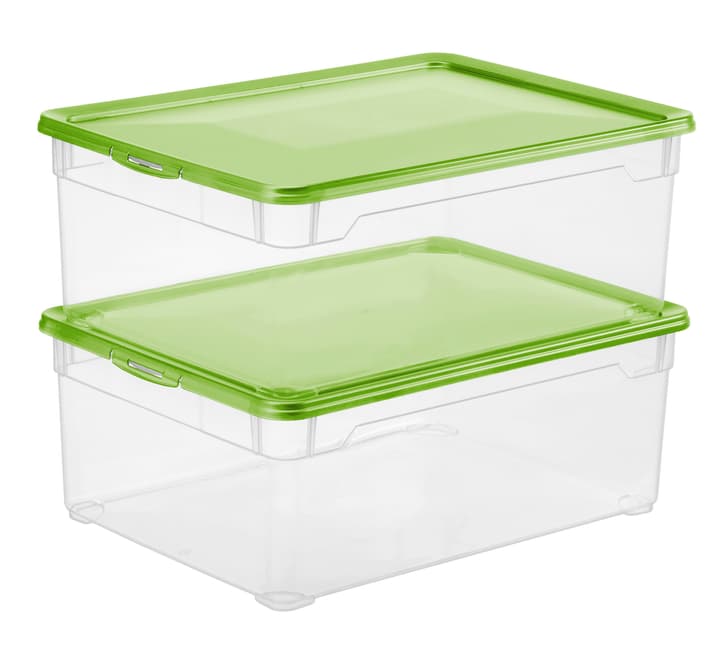 Image of Rotho Clear Men Shoe 10 l mit Deckel, 2er-Set Aufbewahrungsbox bei Do it + Garden von Migros