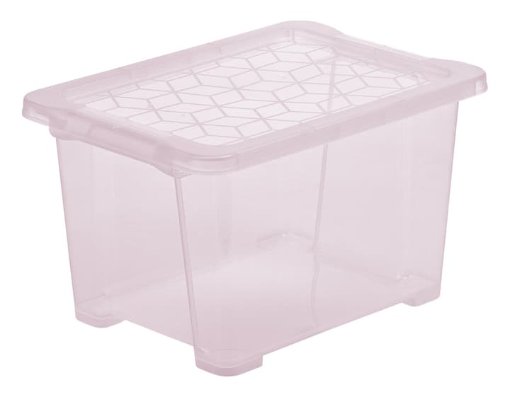 Image of Rotho EVO EASY Box 15 l mit Deckel Aufbewahrungsbox bei Do it + Garden von Migros