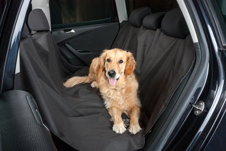 Image of Miocar Hundedecke 145x165CM Sitzauflage bei Do it + Garden von Migros