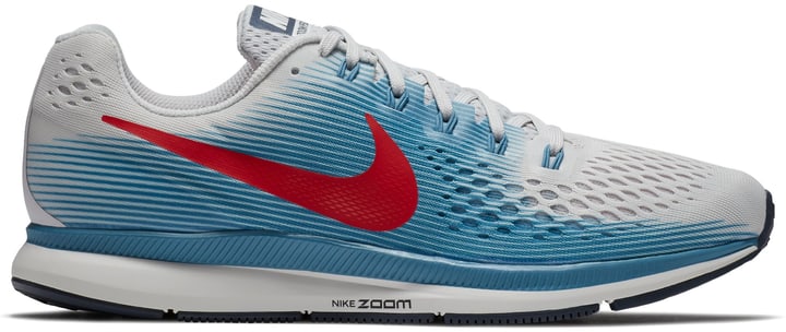 nike zoom pegasus homme