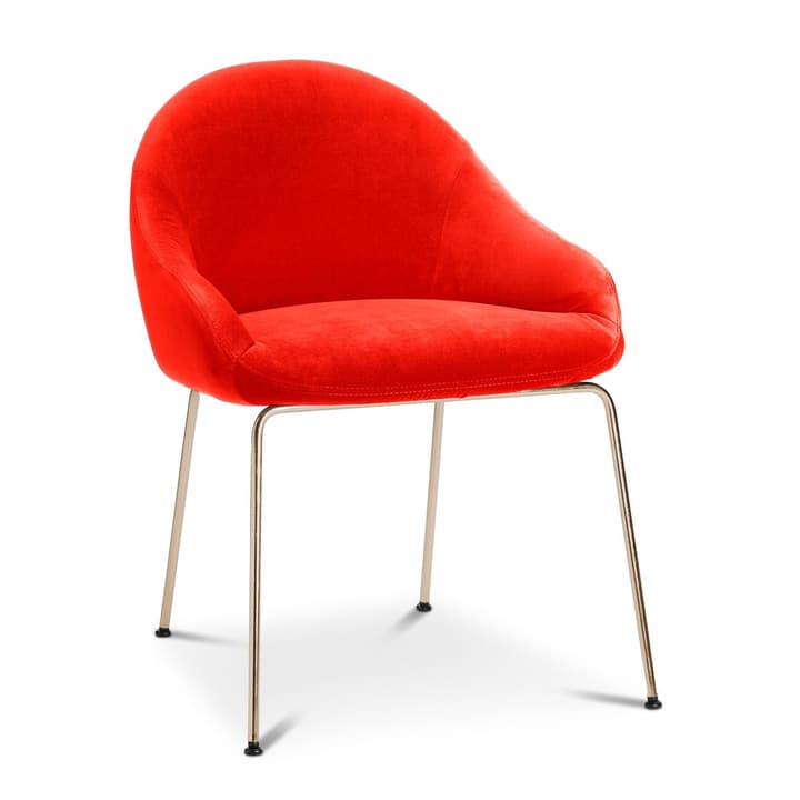 EARL Stuhl EARL Stuhl 366024292503 Grösse B: 58.0 cm x T: 65.0 cm x H: 76.0 cm Farbe Rot Bild Nr. 1