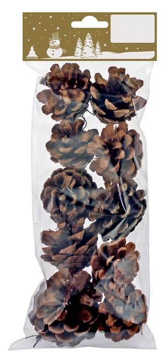 Image of Geroma Deko Tannenzapfen Adventsfloristik bei Do it + Garden von Migros