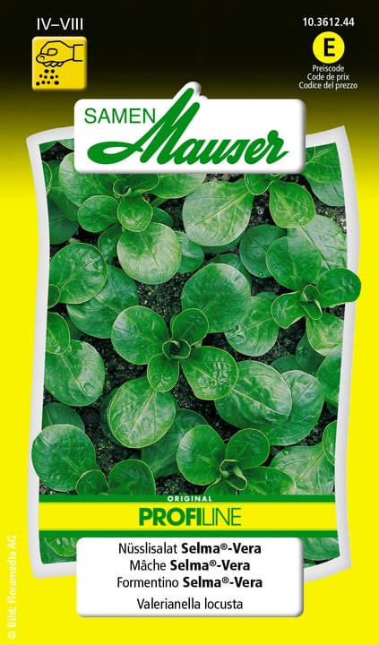 Image of Samen Mauser Nüsslisalat Selma®-Vera Gemüsesamen