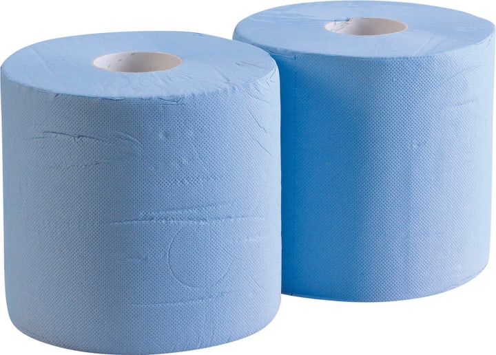 Image of Putztuchrollen 2-lagig 2 Stk Tuch bei Do it + Garden von Migros