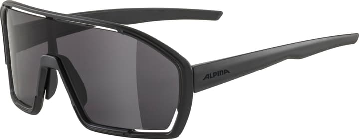 Image of Alpina Bonfire Sportbrille schwarz