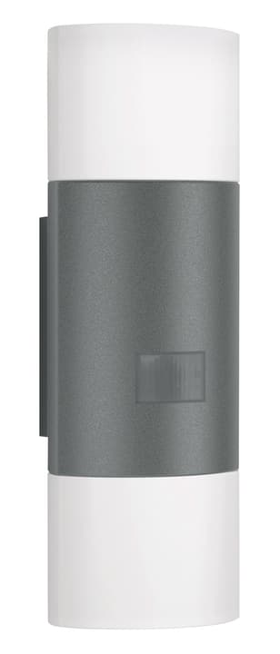 Image of Steinel LED Up-/Downlight L 910 Aussenwandlampe bei Do it + Garden von Migros