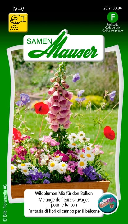 Image of Samen Mauser Wildblumenmix für Balkon Blumensamen