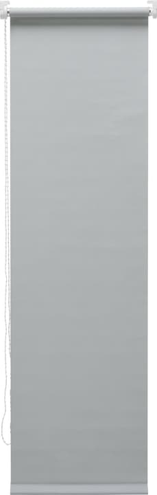 POLAR Store enrouleur POLAR Store enrouleur 430747906281 Couleur Gris clair Dimensions L: 62.0 cm x H: 185.0 cm Photo no. 1