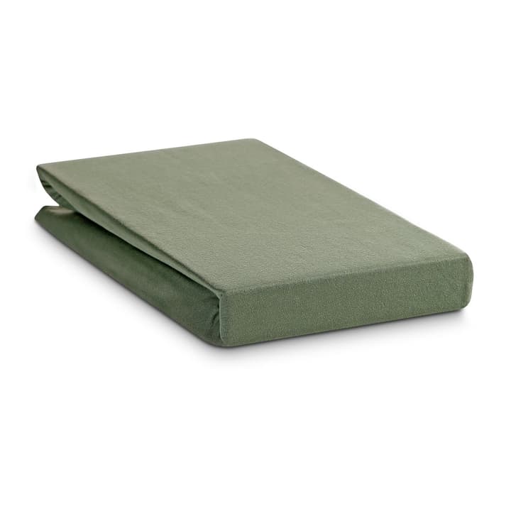 JERSEY Fixleintuch JERSEY Fixleintuch 376031429702 Farbe Grün Grösse L: 200.0 cm x B: 160.0 cm Bild Nr. 1